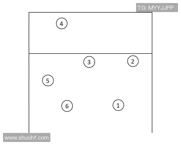 武汉排球队整体压制打法深度分析与战术解读